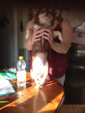 nutella dag 27 efter parning 